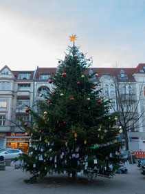 Der Weihnachtsbaum des Jahres 2013 auf dem Breslauer Platz